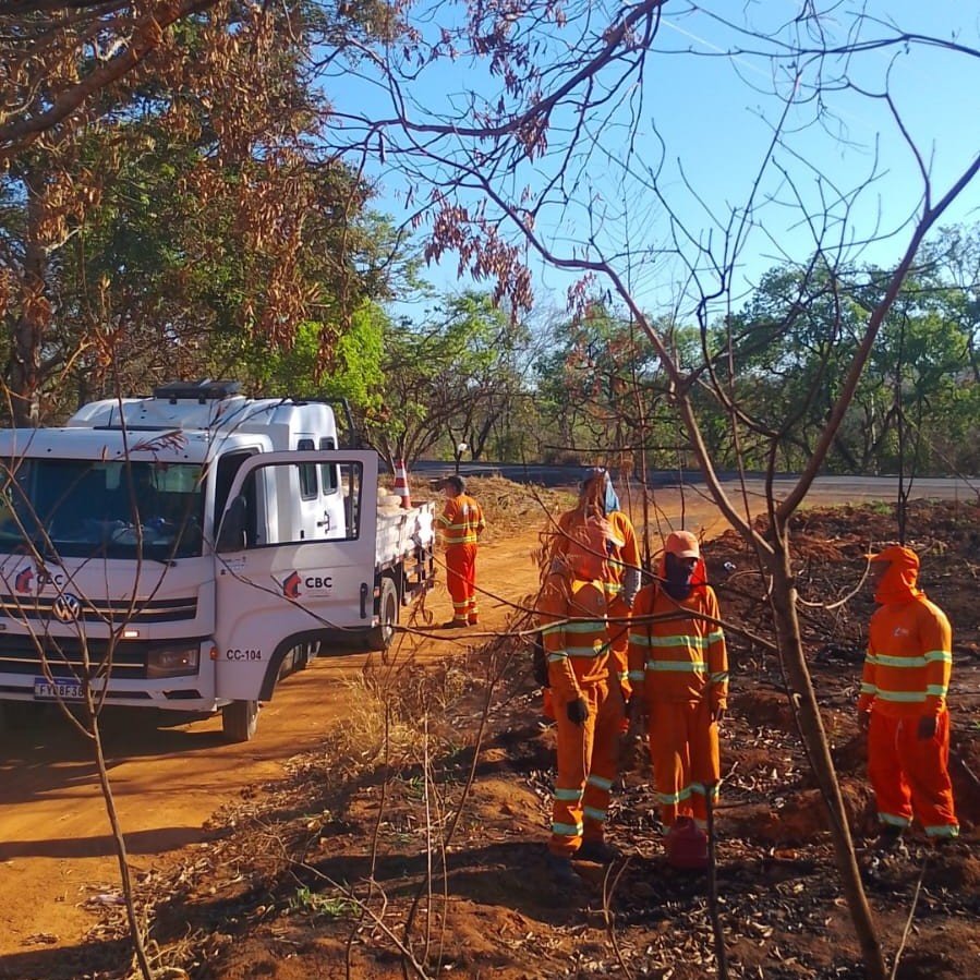 WhatsApp Image 2026-03-29 at 19.40.33