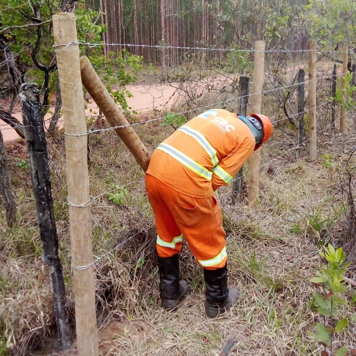 WhatsApp Image 2026-03-29 at 19.44.18